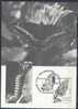 1991 ST PIERRE MIQUELON 534 Papillon Carte Maximum - Covers & Documents