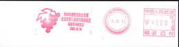 CHINA CHINE CINA BEIJING  PICTORIAL SPECIMEN  METER STAMP  0.00 YUAN - Altri & Non Classificati