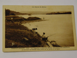 RHONE-TERNAY-GRIGNY-233-LE LONG DES BERGES DU RHONE...ANIMEE - Rillieux La Pape