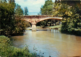 CPSM Massay-Le Pont Sur L'Arnon     L404 - Massay