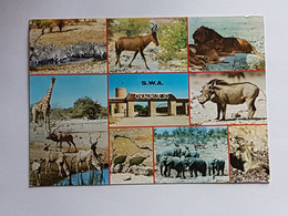 Namibia, Etosha Nationalpark (gelaufen Südwestafrika, 1990; E4) - Namibia