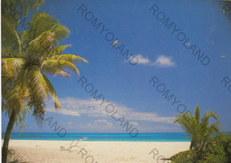 CARTOLINA  SEYCHELLES,BIRD ISLAND,VIAGGIATA 1989 - Seychelles