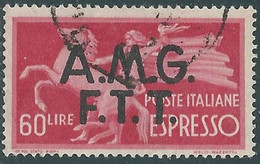 1947-48 TRIESTE A ESPRESSO USATO DEMOCRATICA 60 LIRE - RC9-2 - Express Mail