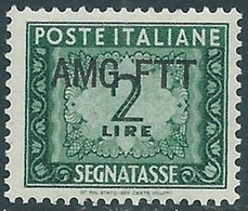 1949-54 TRIESTE A SEGNATASSE 2 LIRE MNH ** - RE1 - Segnatasse