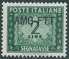 1949-54 TRIESTE A SEGNATASSE 2 LIRE MNH ** - RE1 - Postage Due