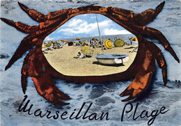 34-MARSEILLAN-PLAGE- SON EMBLEME LE CRABE - Marseillan