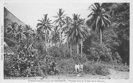 Océanie - Paysage Dans La Vallée De La Fantaua Animé - Polynésie Française