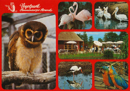 Vogelpark Niendorf, DE - Owl, Flamingo, Pelican, Stork, Macaw - Timmendorfer Strand