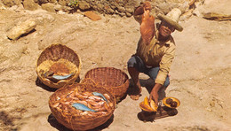 Martinique - La TRINITE - Pêcheur De La Caravelle - A Fisherman Of La Caravelle - Phot Félix Rose-Rosette - La Trinite