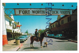 USA. Texas. Fort Worth. Stock Yards. Cow-boy (Corporal L.E. Schilling), Chien (Reb). - Fort Worth