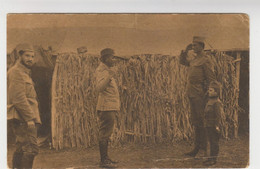 Old Postcard Serbia Ww1, 10 Year Old Soldier Giving Raport, Šuković - Serbie