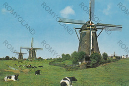 CARTOLINA  LEIDSCHENDAM,ZUID-HOLLAND,PAESI BASSI,VIAGGIATA 1988 - Leidschendam