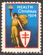 1924 USA CHRISTMAS - HEALTH - National Tuberculosis Association NTA Charity Label Cinderella Vignette TBC - Non Classés