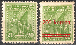 1918 Hungary - CHILDREN FOUND LEAGUE - CHARITY STAMP - CINDERELLA - VIGNETTE - 20 / 200 K Overprint MH - Otros & Sin Clasificación