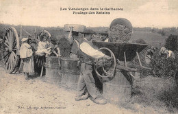 Gaillac             81       Vendanges Dans Le Gaillacois. Foulage Des Raisins                (voir Scan) - Gaillac