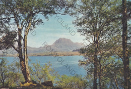 CARTOLINA  LOCH MAREE FROM FLOWERDALE FOREST ,ROSS-SHIRE,SCOZIA,REGNO UNITO,NON VIAGGIATA - Ross & Cromarty