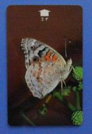 Oman Butterfly Papillon Mariposa Schmetterling Farfalla Insect Butterflies Blue Pansy #2 - Butterflies