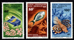 Somali Coast, French, 1966, Fish, Sea Life, Animals, Fauna, MNH, Michel 382-384 - Other & Unclassified