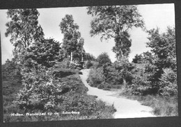 Nederland Holland Pays Bas Holten Met Een Wandelpad - Holten