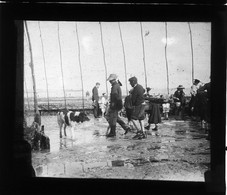 360-20-22 - SEINE MARITIME - DIEPPE - LA PLAGE A MAREE BASSE -  Plaque Photo Fin 19e Début 20e - Unique à Saisir. - Plaques De Verre