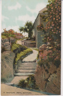 BERMUDA - A Sketchy Path - Bermuda