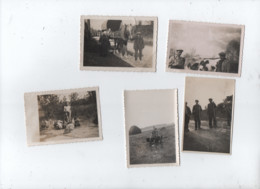 5 Petites Photos - Agricole , Agricoles , Agriculture , Agricultures - Other & Unclassified