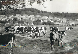 / CPSM FRANCE 76 "Le Trait, La Neuville" / VACHE - Le Trait