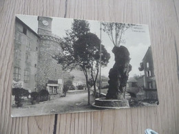 CPA 48 Lozère Meyrueis L'arbre De Sully - Meyrueis