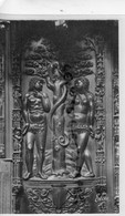 32 - AUCH - LA CATHEDRALE - QUELQUES STATUES EN BOIS SCULPTE -ADAM ET EVE AU PARADIS -CARTE PHOTO  -  GERS - Auch