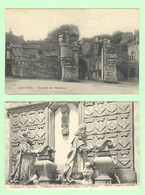 H821 - BELGIQUE - Lot 2 Cartes Château D'Antoing - Tombeau Du Prince Et Entrée Du Château - Antoing