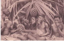 Océanie Samoa ?? Indigènes Mangeant Le Fruit Pandanus - Samoa