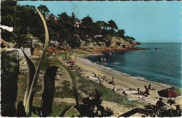 CPA LE RAYOL La Plage (1110504) - Rayol-Canadel-sur-Mer