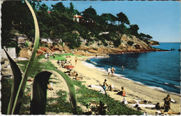 CPA LE RAYOL La Plage (1110829) - Rayol-Canadel-sur-Mer