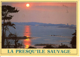 22 Cote D Armor Pleubian Presquile Sauve Bretagne Estuaire Du Trieux Gaudeau Claude 1990 Tours Nature Paysage - Pleubian