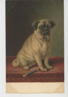 CHIENS - DOG - Jolie Carte Fantaisie Viennoise Chien - M.M. VIENNE N° 176 - Perros