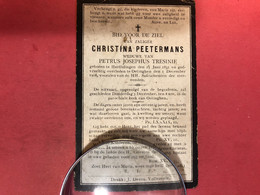 Christina Peetermans Wed Tresinie Petrus Josephus *1831 Herfelingen +1908 Oetingen Gooik Herne Druk Vollezele - Obituary Notices