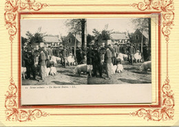 PONT L ABBE  ***  MARCHE AUX COCHONS *** CARTE STEREO *** - Pont L'Abbe