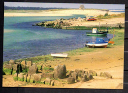 PLOUESCAT -- Vestiges Préhistoriques Dans L'anse Du Kernic--(bateaux De Pêche) - Plouescat