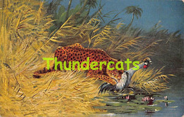 CPA ILLUSTRATEUR ARTIST SIGNED AUGUST MULLER TIGRE TIGER - Müller, August - München