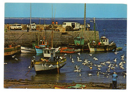PIRIAC SUR MER  --1977---Le Port ( Petite Animation , Pêche) Bateaux ,voitures - Piriac Sur Mer