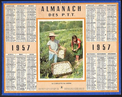 CALENDRIER GF 1957 - La Cueillette Du Jasmin Par Les Enfants, Imprimeur Oberthur Rennes - Grand Format : 1941-60