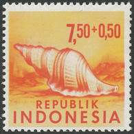 INDONESIA 1969 7.50+0.50 R Sea Snail Superb U/M MAJOR VARIETY MISSING COLORS GREENISH BLUE AND BLACK RR!! - Indonésie