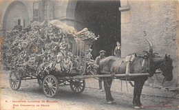 Mazamet            81     Industrie Lainière :     Une Charrette De Peaux . Attelage Cheval   N° 6    (voir Scan) - Mazamet