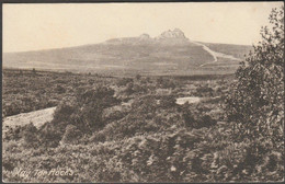 Hay Tor Rocks, Dartmoor, Devon, C.1905 - Chapman Postcard - Dartmoor