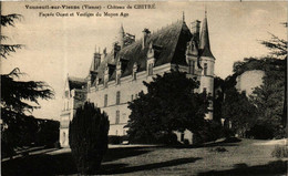 CPA AK VOUNEUIL-sur-VIENNE Chateau De Chitre (613222) - Vouneuil Sur Vienne