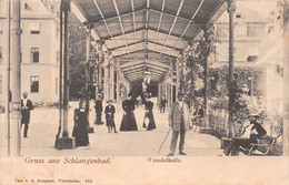 Allemagne - Hesse - Gruss Aus SCHLANGENBAD - Wandelhalle - Précurseur - Schlangenbad