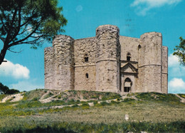 Castel Del Monte - Formato Grande Viaggiata – FE190 - Bari