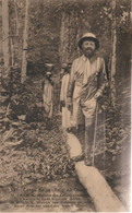 8-IP-Congo Belga-Intero Postale Illustrato-Il Ministro Delle Colonie Attraversa Una Foresta Tropicale-1923 - Briefe U. Dokumente