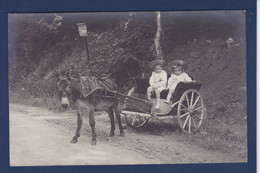 CPA Ane Donkey Carte Photo Attelage Non Circulé - Donkeys