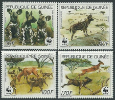 GUINEE -  Chien Sauvage Africain (Lycaon Pictus) - Vor- U. Frühgeschichte